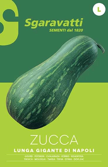 SEMI PER ORTAGGI E VEGETALI zucca lunga gigante di Napoli 20 pezzi  - SGARAVATTI