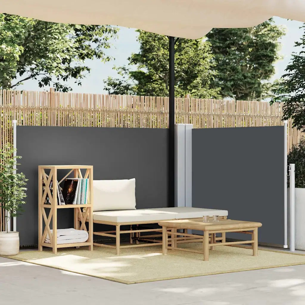Tenda da Sole Laterale Retrattile-Tenda parasole per balcone Antracite 100x600 cm 770008