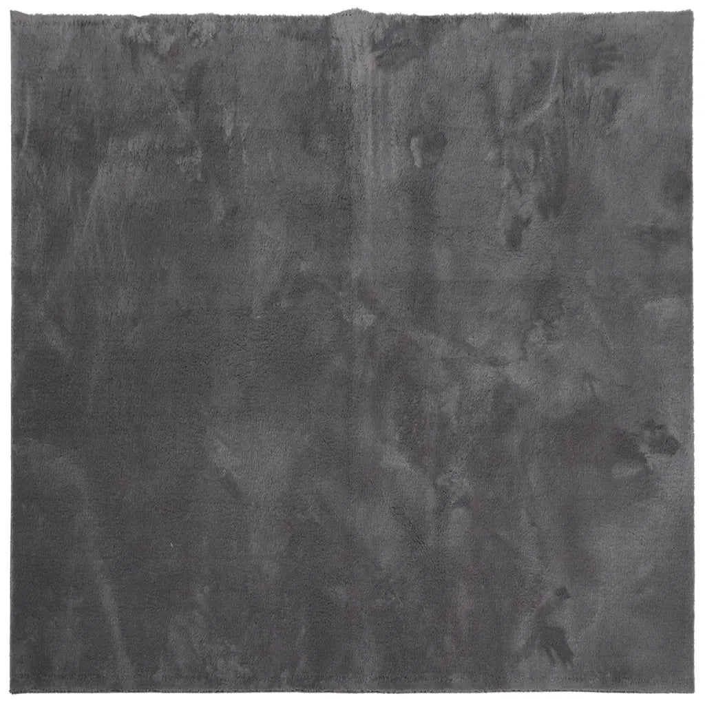 Tappeto Pelo Corto HUARTE Morbido Lavabile Antracite 240x240 cm 375006