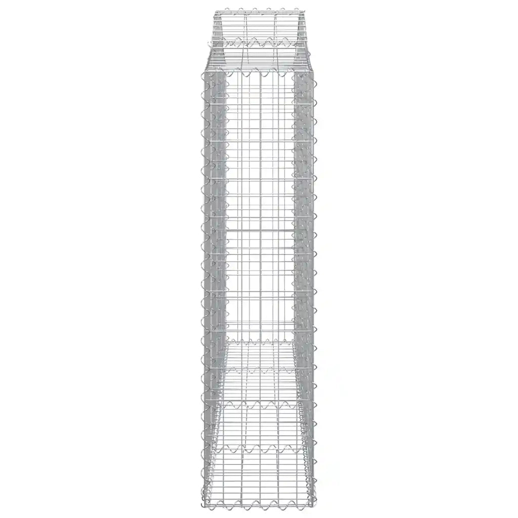 Cesti Gabbioni ad Arco 2 pz 200x30x120/140 cm Ferro Zincato 3145451