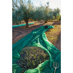 TELO RETE OLIVE ANTISPINA 32GR.MT.5X200 MODELLO "CALABRIA"