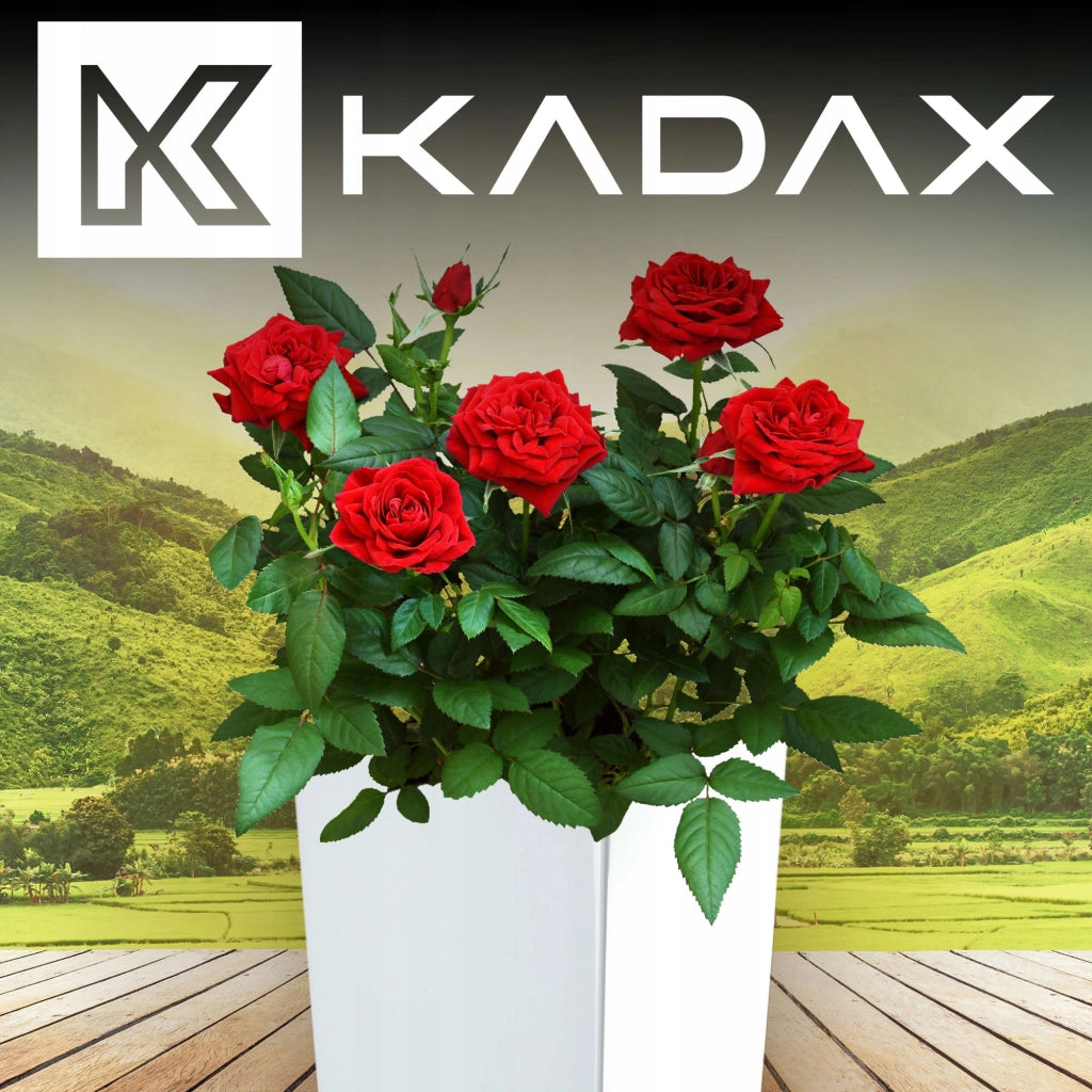 Set di 3 vasi da fiori KADAX, vasi da giardino + inserti, alti, grandi, bianchi, 47+57+68 cm