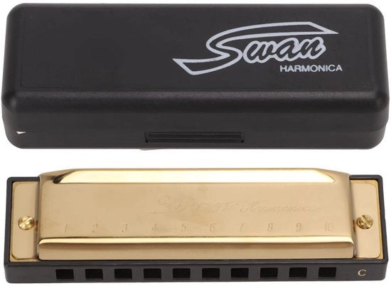 Harmonica a 10 gatti 20 toni - Mondarmonica per adulti/bambini - Materiale cromato di alta qualità - Resistenente alla ruggine - Regalo significativo