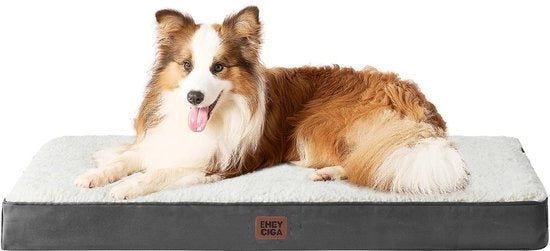 Cuscino per Cani Ortopedico per Cani Grandi XL 104x68x9cm, Lavabile, Cuscino soffice per Cani, Gamba per Cani, Matrimoniale per Cani da mettere in un Bancino, Beige
