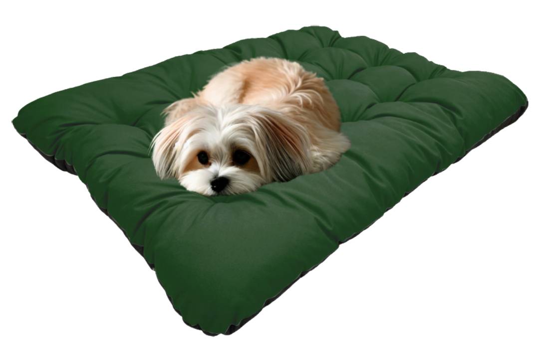 AIO FACTORY 120x80 cm PRESTIGE Cuccia per cani impermeabile personalizzabile Verde