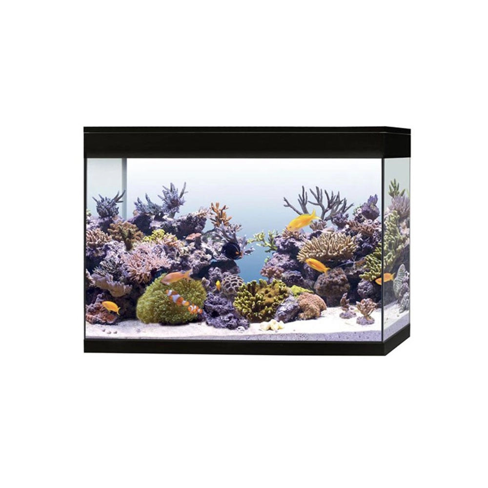 Askoll Pure Marine XL HC LED - acquario 130L cm76x36x57h con illuminazione LED e filtro per Acqua Marina Colore: Nero