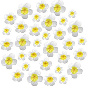 Pomponiere Plumeria 50 pezzi - Finte fiori - Fiori artificiali per esterno - Fiori di Frangipani - Sostenibili e realistici - Adatti per matrimoni e feste - Fiori artificiali