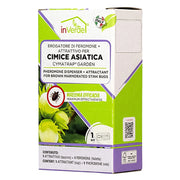 EROGATORE DI FEROMONE PER CIMICE ASIATICA in kit  - IN VERDE