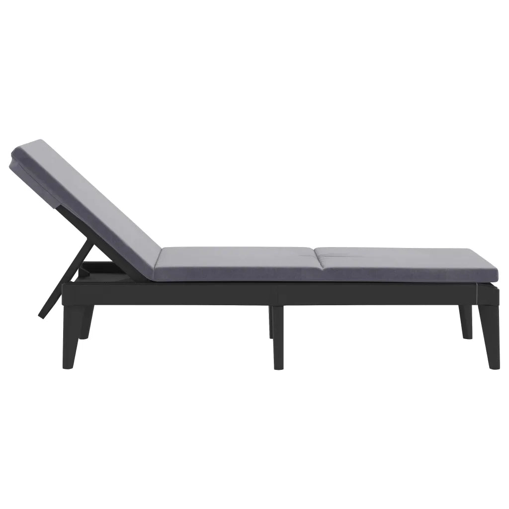 Lettino con Cuscino Antracite 186x60x29 cm in PP 364223