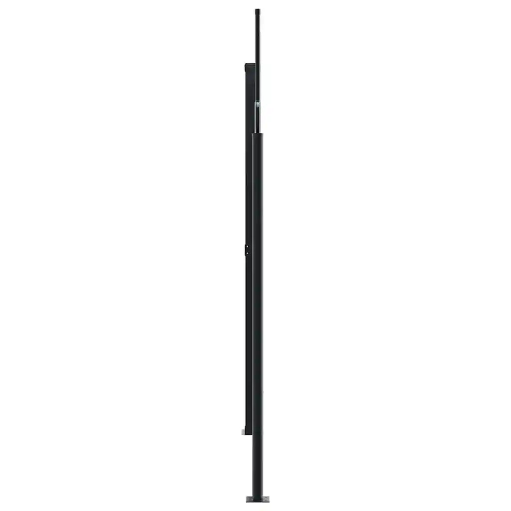 Tenda da Sole Laterale Retrattile Antracite 220x1200 cm 4004868