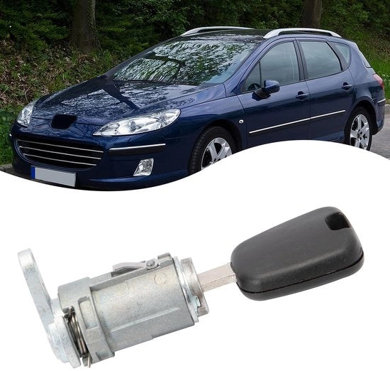 Cilindri per Porta per Peugeot 307 407 - Modello 917 - Materiale Duraturo - Sicuro - Adatto per 307 e 407 - Lato Sinistro