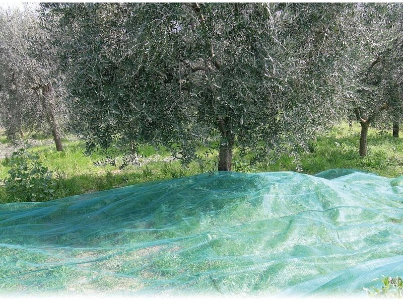Rotolo Rete per raccolta olive telo 8x50 mt antispina e antistrappo 85 grammi mq