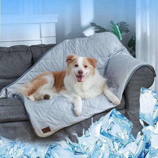 Decongestionante per cani e gatti impermeabile - Coperta per divano - 60 x 47 cm - Grigio