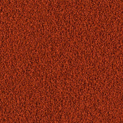 Tetra discus Granules - Alimento Base Completo per Discus Formato: 10 L