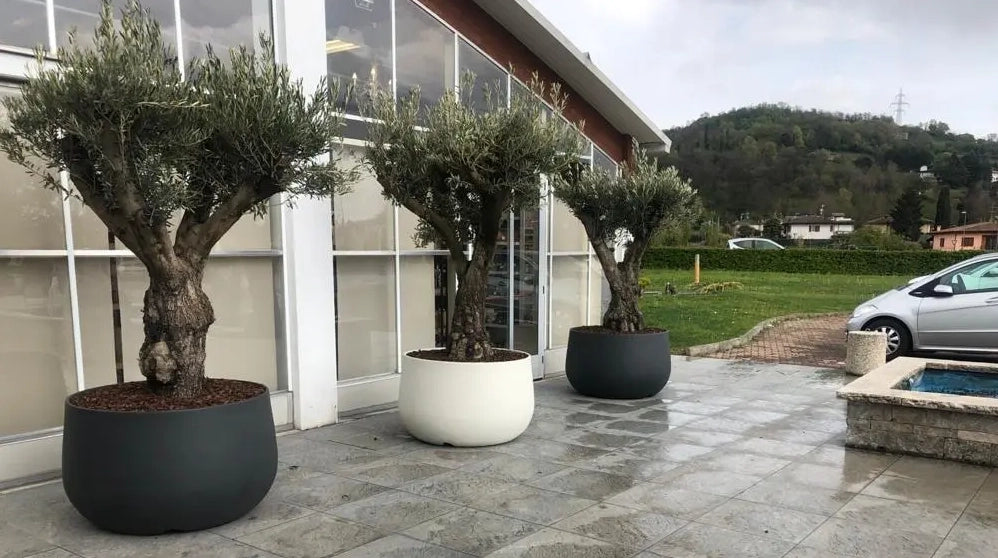 Vaso Urbano ACAYA 110 in Resina per piante di grosse dimensioni bianco
