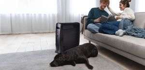 Radiatore Elettrico Romeo 1000-2000 W Calore su 3 Lati con Pannello in Mica Nero