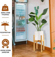 Stand a regolabile per piante estensibile per interni ed esterni base per vaso 34 cm (pianta e vaso non inclusi)