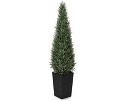 Pianta di Cedro Artificiale Grande 150 cm in Vaso Conico Nero - Resistente ai Raggi UV, Pianta di Plastica Reale - Pianta di Plastica per Interno e Esterno, VN155