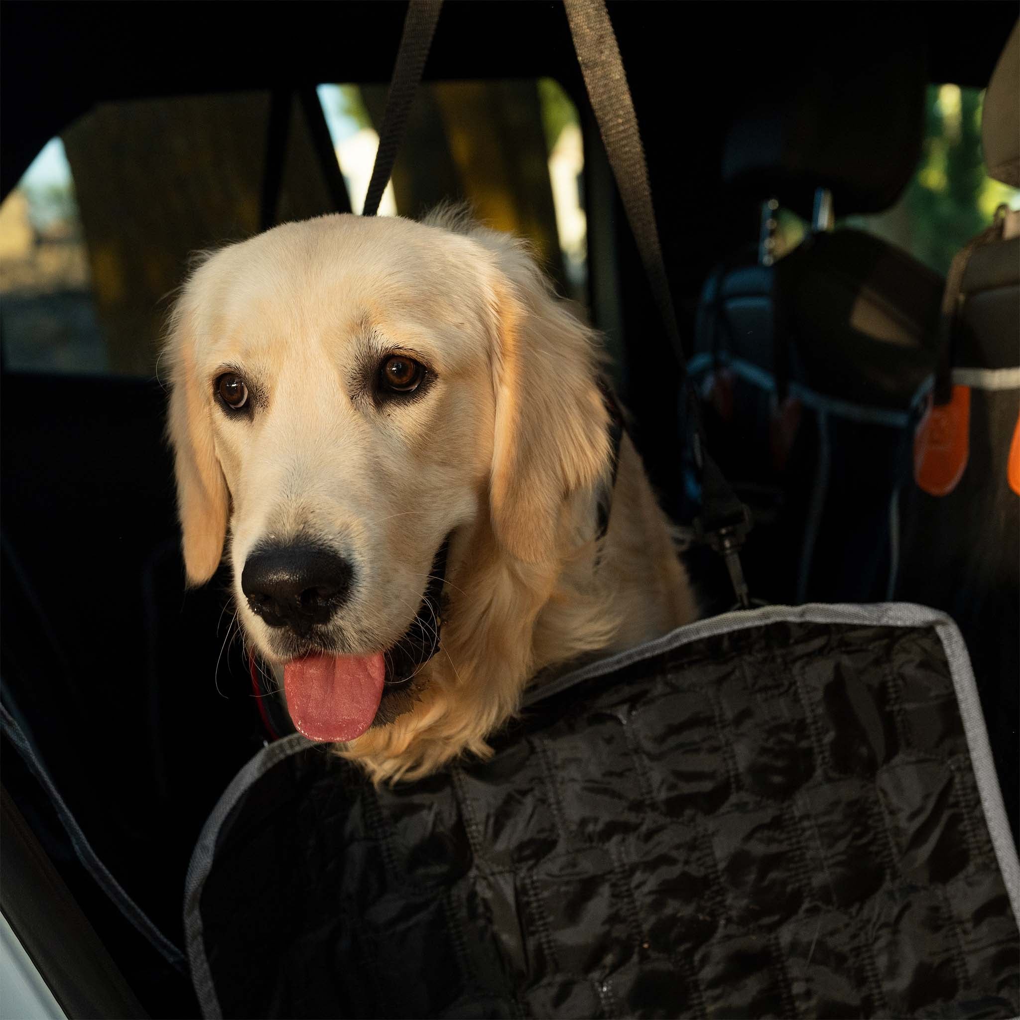 Fudajo Coprisedile posteriore auto per cani 137x147cm Protezione divisibile con zip per sedile