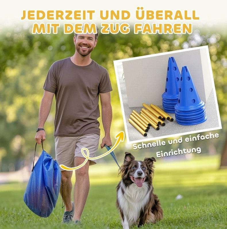 Set agility per cani blu 80 cm in plastica; 6 ostacoli regolabili