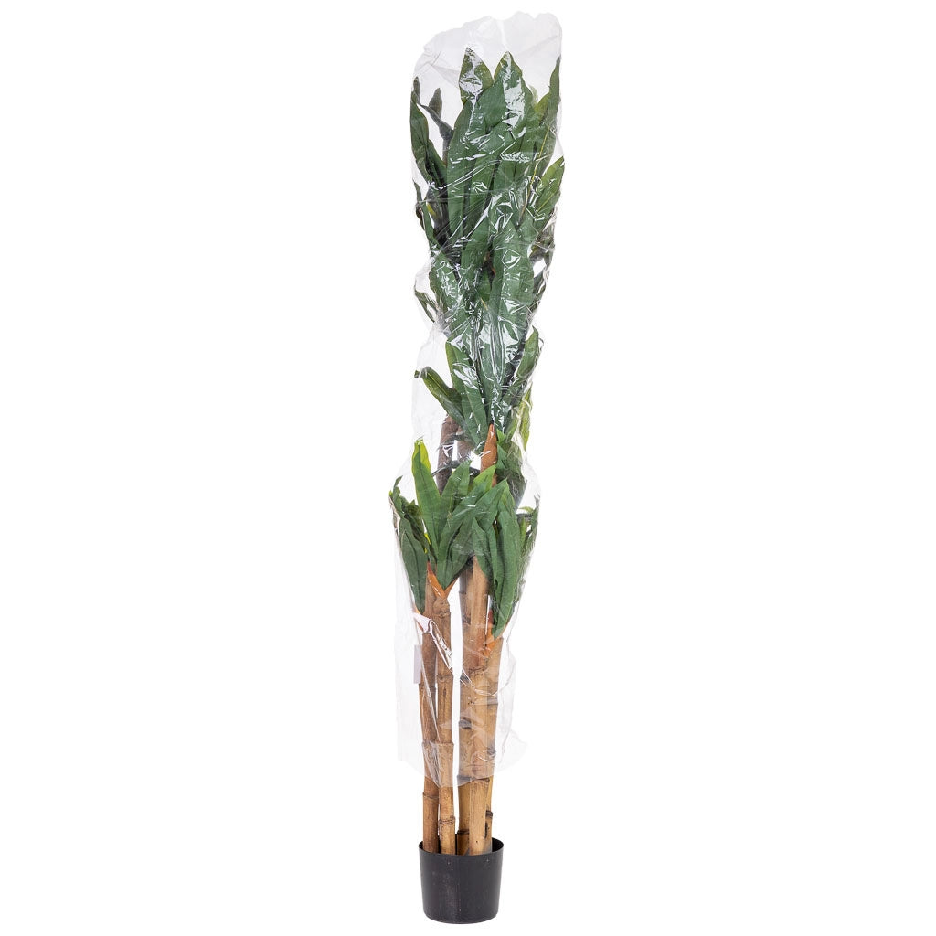 Pianta di dracena artificiale decorativa in vaso 40x30x150h cm