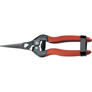 FORBICI COGLIFRUTTA E ORTAGGI AUSONIA 19 cm - AUSONIA