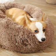 Letto per gatti e piccoli cani in piuma lavabile e morbido con fondo anti-slip (50 cm caviglia) - Adatto per gatti e piccoli/medie taglie di cani