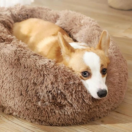 Letto per gatti e piccoli cani in piuma lavabile e morbido con fondo anti-slip (50 cm caviglia) - Adatto per gatti e piccoli/medie taglie di cani