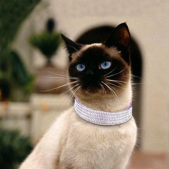 Collari con cristalli Rhinestones e pizzo per cane e gatto - Collari Bling con cristalli morbidi a seta - Blu