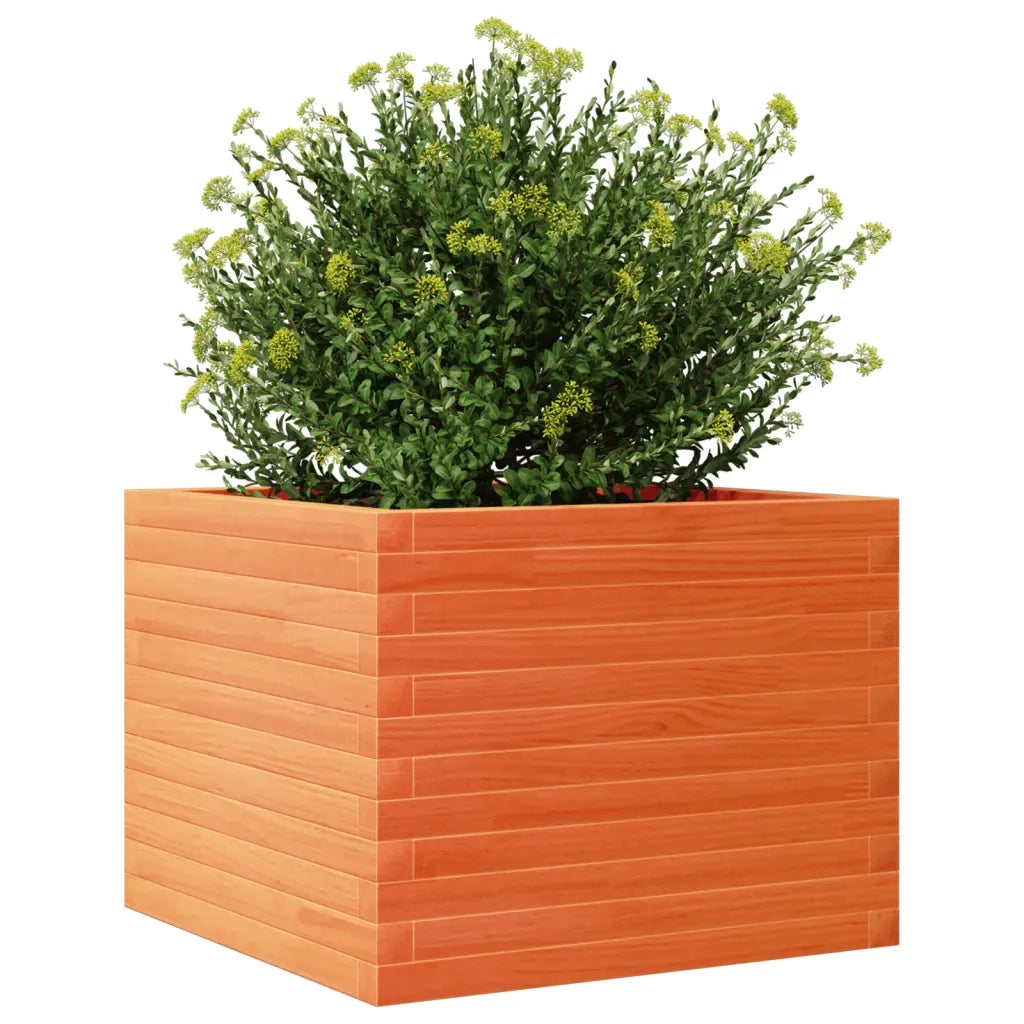 Fioriera Giardino Marrone Cera 60x60x45,5cm Legno Massello Pino 847250
