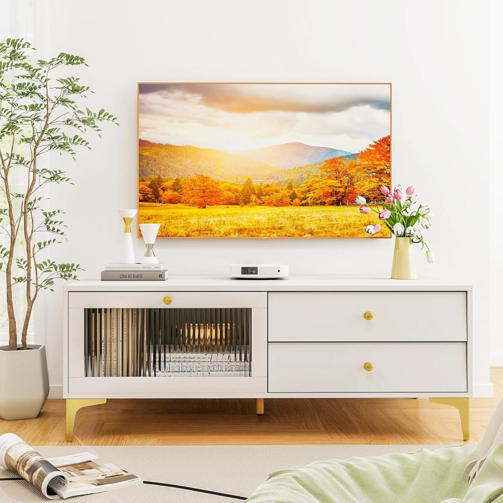 Mobile TV, mobile TV, mobile TV, supporto per TV fino a 55 pollici, cassettiera con 2 cassetti e porta apribile in vetro temperato, mensola TV 120 x 62 x 46 cm