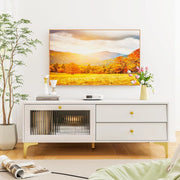 Mobile TV, mobile TV, mobile TV, supporto per TV fino a 55 pollici, cassettiera con 2 cassetti e porta apribile in vetro temperato, mensola TV 120 x 62 x 46 cm