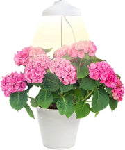 Luce per Piante / Luce per Crescita delle Piante / [Classe di Efficienza A+++] - UNA PIANTA PIÙ SALVA / Luce LED Indoor Economica