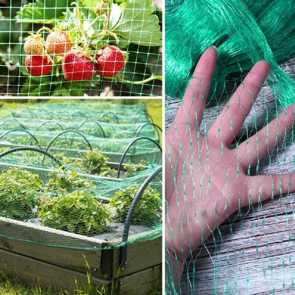 Trade Shop - Rete Anti Uccelli Verde In Polietilene Protezione Giardino Orto Piante 2 X 10 Mt -