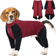 Vestiti da Letto per Cani