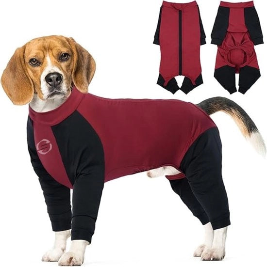 Vestiti da Letto per Cani