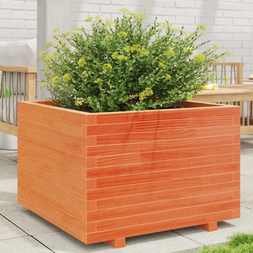 Fioriera Giardino Marrone Cera 70x70x49,5cm Legno Massello Pino 847365