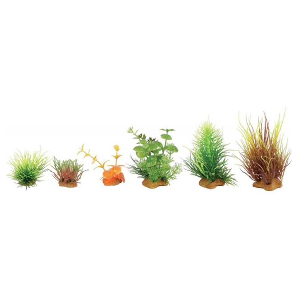 Zolux Decor Plant Box 6pz kit 3 - mix di 6 piante artificiali