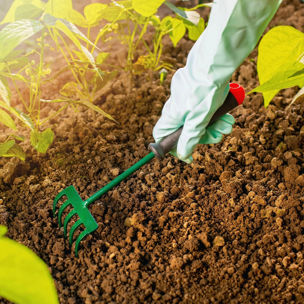 KADAX Piccolo rastrello in metallo per foglie, erba e giardino, 25 cm, 5 denti, manico