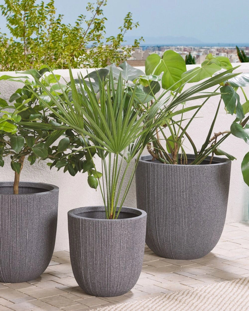 Vaso per fiori Fioriera alta in poliresina grigia 48 x ø 44 cm Accessori per decorazioni per interni e interni moderni e minimalisti