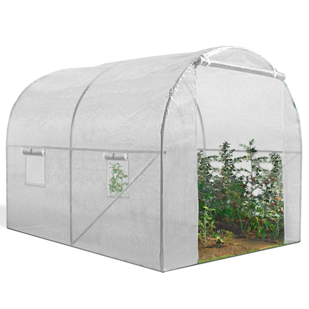 IDMarket - Serra tunnel di giardinario 6 m² bianco ZEBRA 2x3M