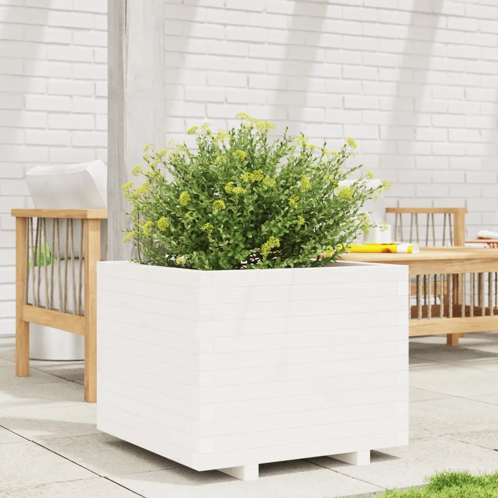 Fioriera | Cassetta per fiori | Vaso da Giardino Bianca 60x60x49,5cm Legno Massello di Pino