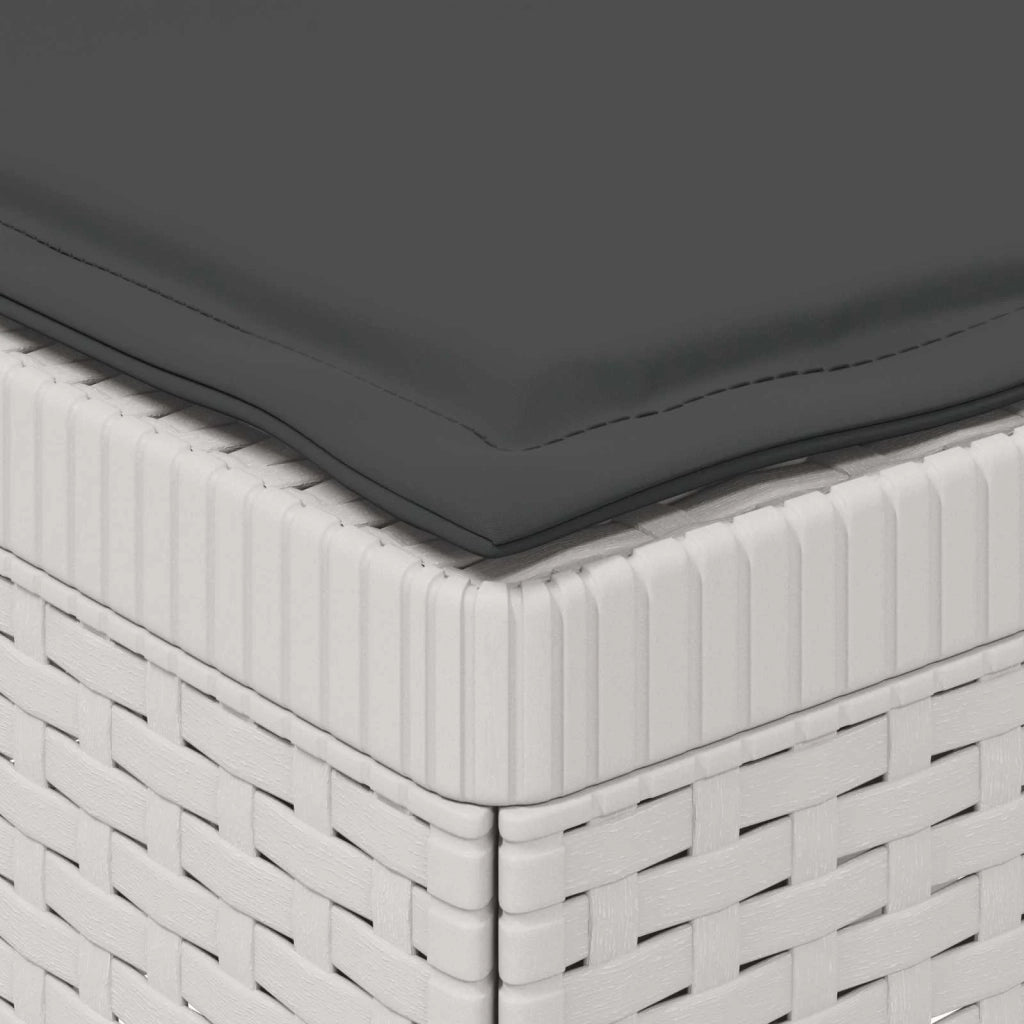 Divano da Giardino a 1 Posto con Cuscini Aspetto Rattan PP 8011841