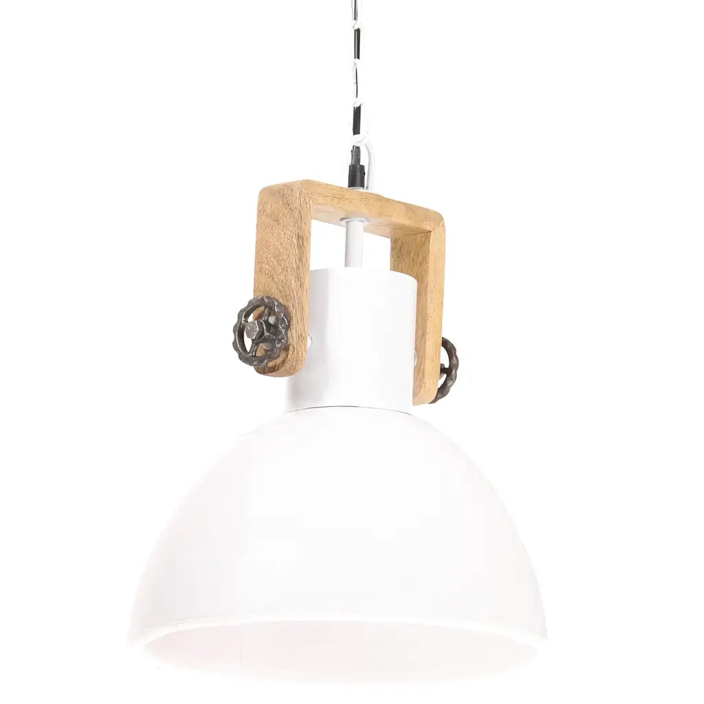Lampada a Sospensione Industriale 25 W Bianca Rotonda 30 cm E27 CFW2420367