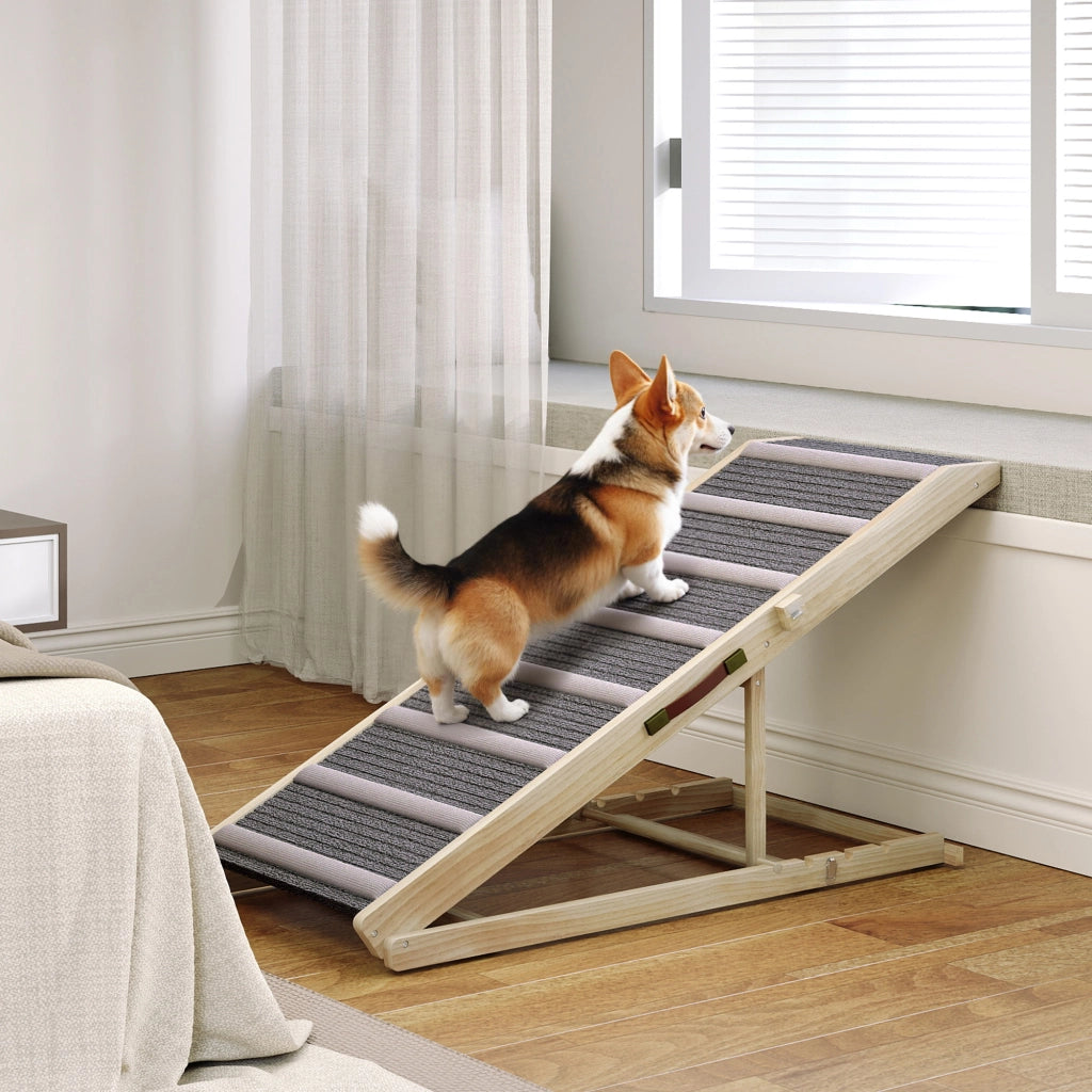 Rampa per Cani Pieghevole ¨C Xylo ¨C Regolabile 41-60 cm, Legno con Tappetino Antiscivolo