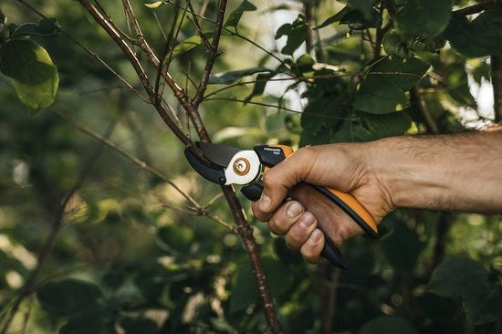 Ammasso e taglia rami L, Solid, P361, per rami e ramoscelli secchi, trattamento antiscroscio, lame in acciaio inox, lunghezza: 20,1 cm, nero/arancio, 1057165