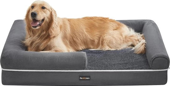 Oven a Convezione a Infrarossi 800 W 10 L - Cucina Energeticamente Sostenibile con Convettore