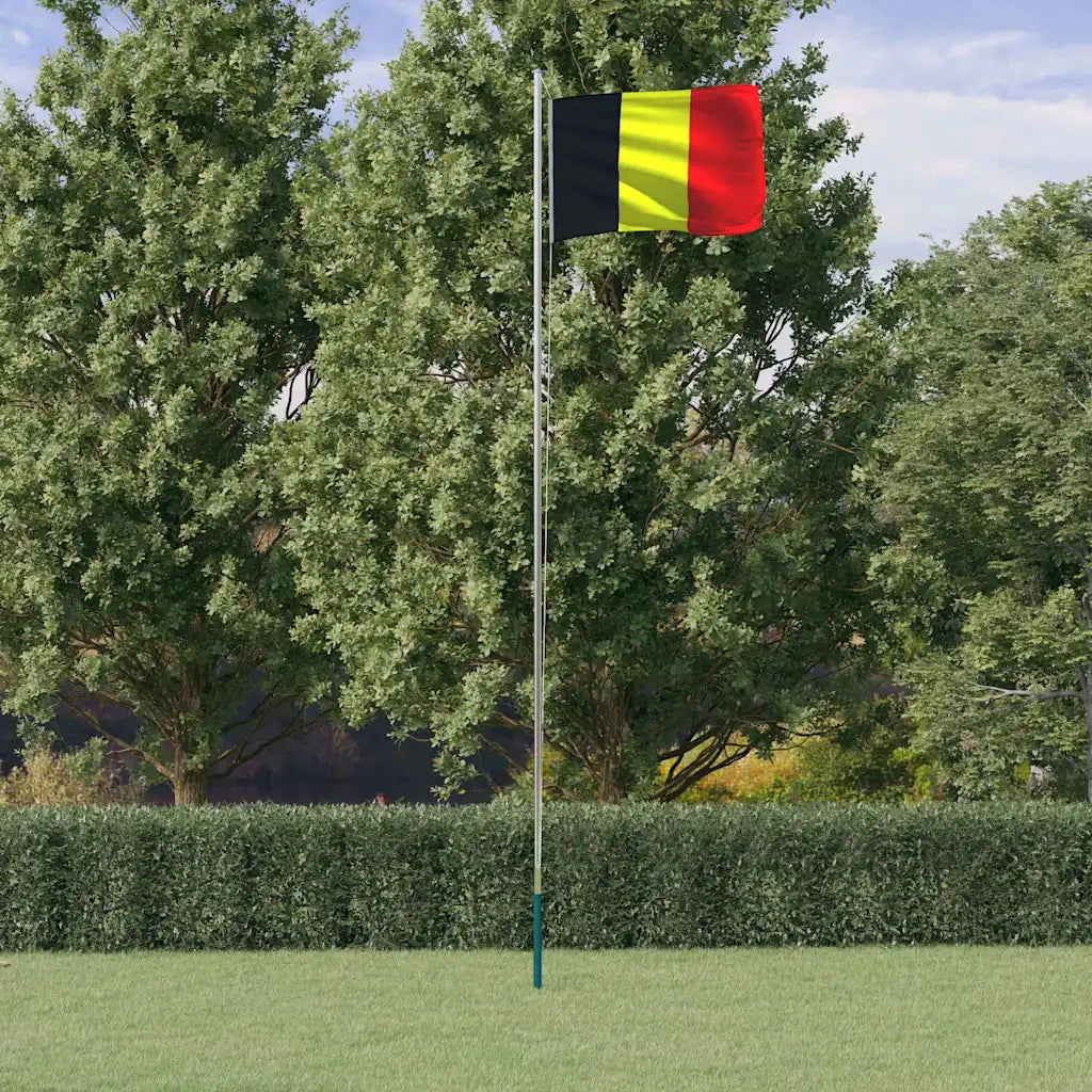 Asta e Bandiera Belgio 6,08 m Alluminio CFW4445748