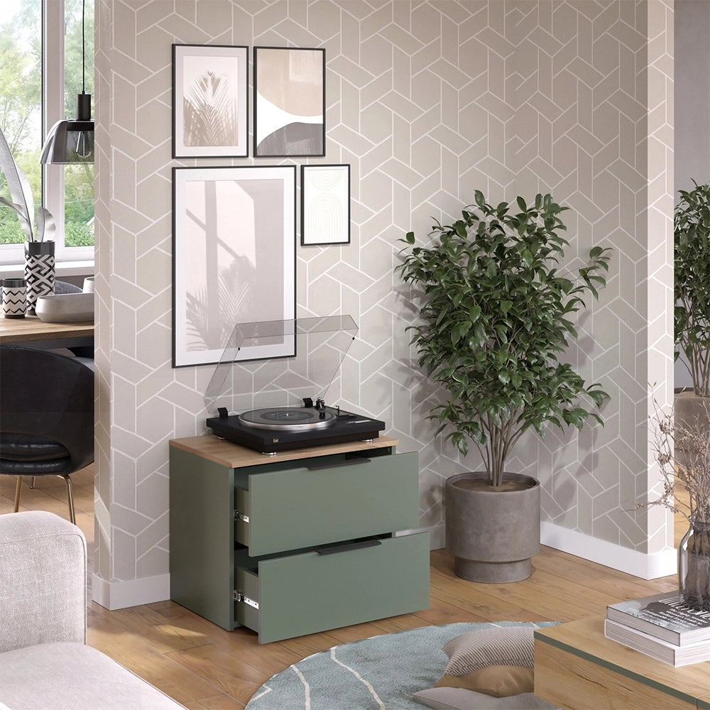 Vicco Cassettiera per camera da letto Verde 60 x 50 cm con 2 cassetti