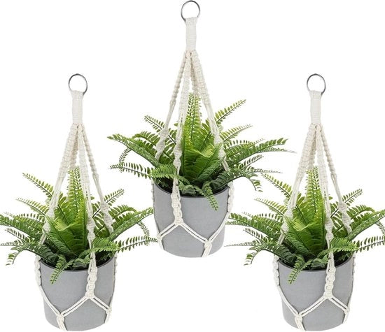 Hanger per piante a macramè 3 pezzi appesi per interni - Hanger a coda di cavallo in cotone per interni esterni - Adatto per giardino, balcone, terrazzo, finestra (50 cm)